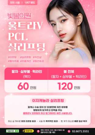 실리프팅 이벤트